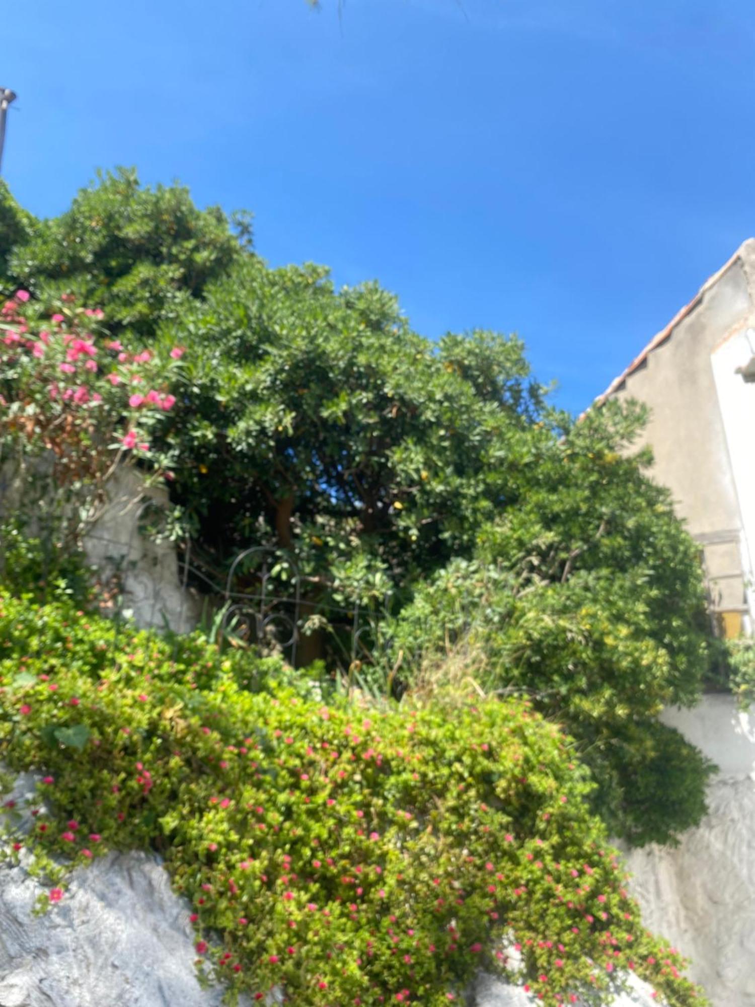 Holiday home La Flibuste Des Goudes: Calanques Seaside Retreat With Gardens