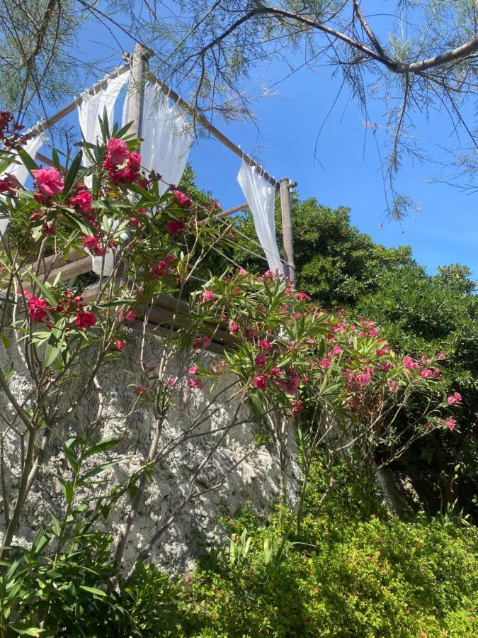 La Flibuste Des Goudes: Calanques Seaside Retreat With Gardens Holiday home *