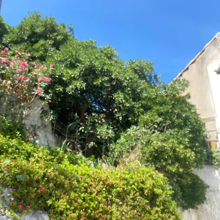 La Flibuste des Goudes: Calanques Seaside Retreat with Gardens Villa Marseille Exterior photo